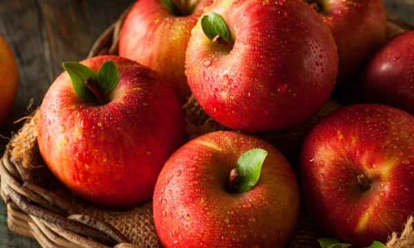 red delicious apples different types of apple