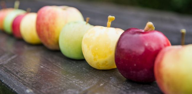 different-types-of-apple